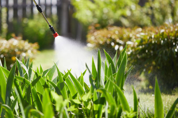 24/7 Emergency Termite Control experts in Murfreesboro, TN